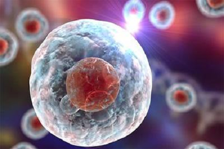 Babio lanserer Giemsa Stain B-løsning av høy kvalitet for avansert cytogenetisk og hematologisk diagnostikk