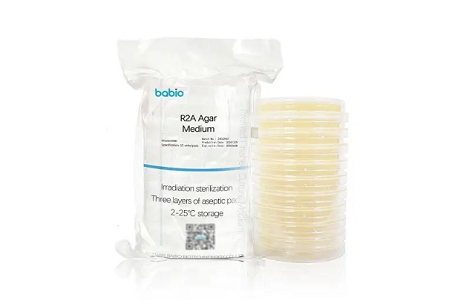 R2A Agar Medium: Gullstandarden for mikrobiell overvåking i farmasøytiske, mat- og kosmetiske næringer