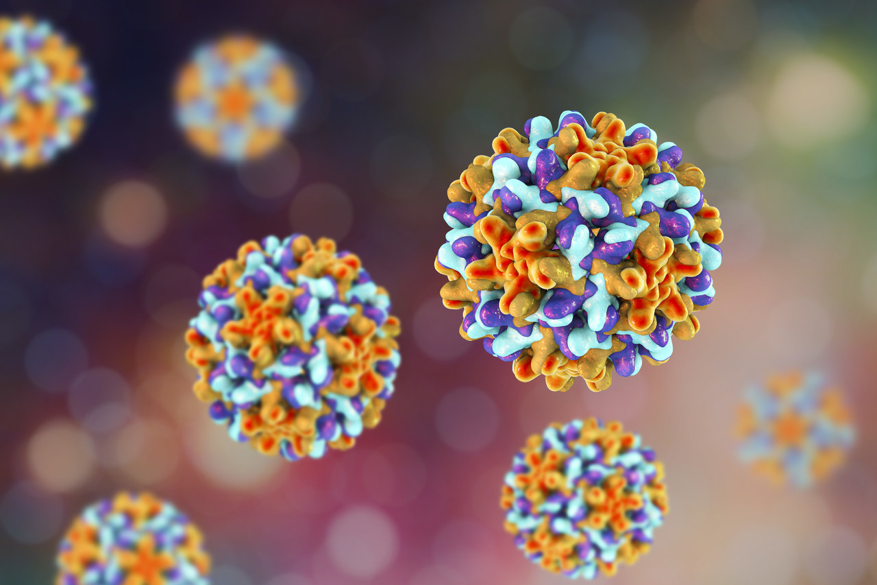 Babio lanserer høyytelsesadenovirus antigendeteksjonssett for å oppfylle globale diagnostiske krav