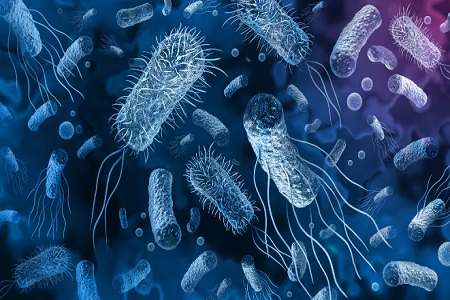 Babio lanserer Vibrio Cholerae Rapid Antigen Detection Kit
