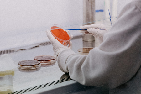 Babio introduserer potetdextrose agar (USP) for pålitelig mold og gjær testing