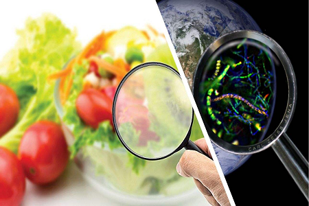 BABIO lanserer Aflatoxin B1 Rapid Test Cassette for Global Food Safety Control