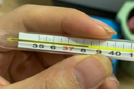 Rapid Antigen Combo Test: COVID-19, Flu A/B og RSV