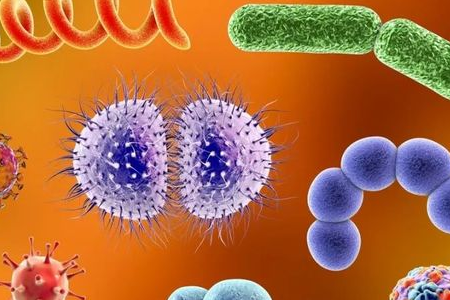 BABIO lanserer Salmonella Shigella berikelsesmedium for pålitelig enterisk patogentransport