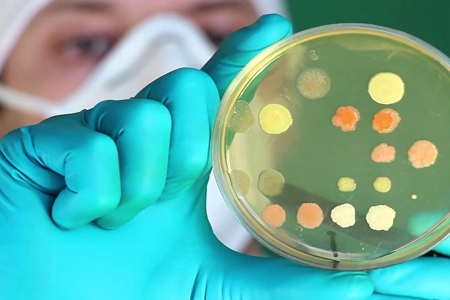 BABIO lanserer Premium Trypticase Soy Broth (TSB) for Global Clinical & Lab Microbiology