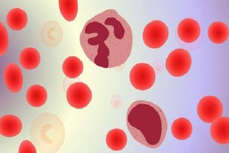 BABIO lanserer HBcAb Hepatitt B Core Ab Rapid Test for globale markeder