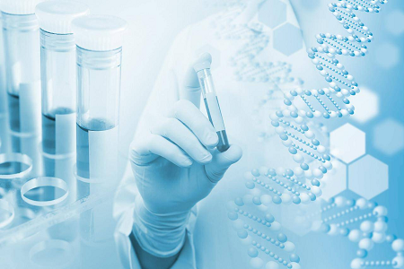 H. pylori IgG/IgM-testsett: Rapid Antibody Screening Solution